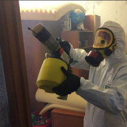 Уничтожение клопов в квартире. Ростов
